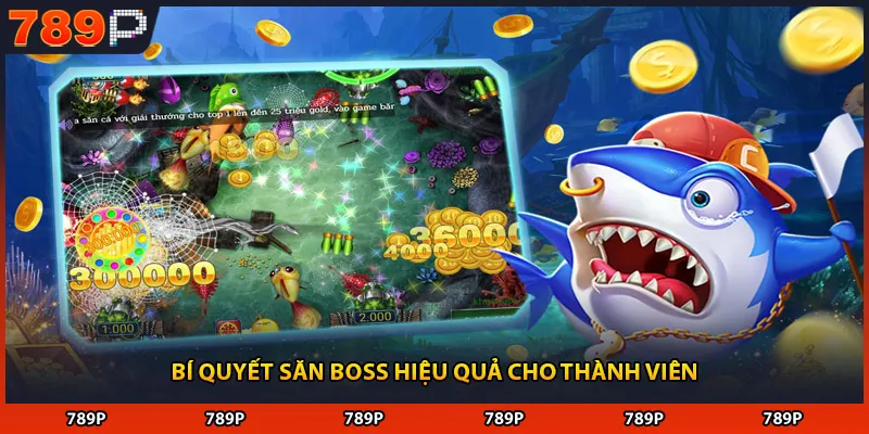 Bí quyết săn boss hiệu quả cho thành viên