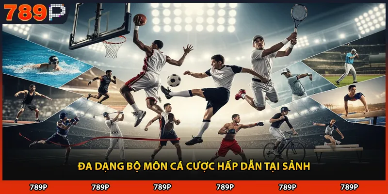 Đa dạng bộ môn cá cược hấp dẫn tại sảnh